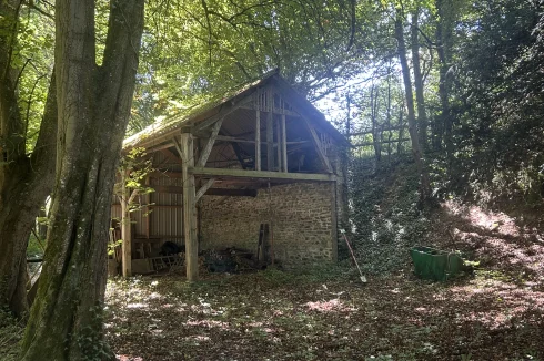 The huge woodshed