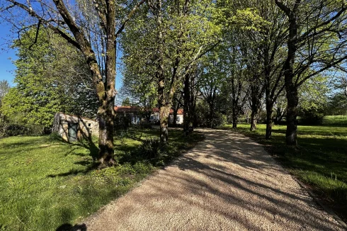 Front drive through the garden