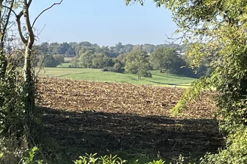 Bed room view autumn