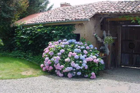 Converted outbuilding (bread oven, gym)