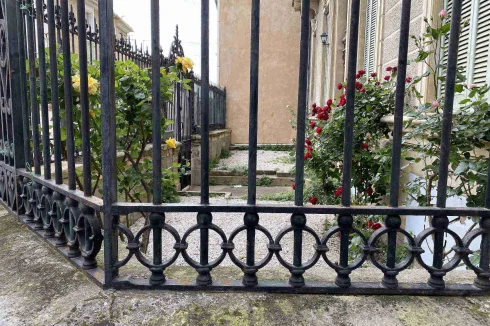 Front roses