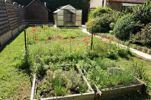 Greenhouse and vegetable garden