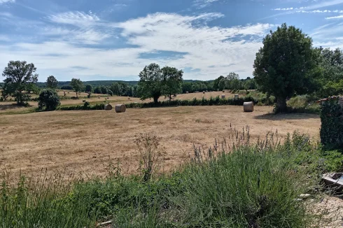 View from garden
