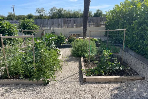 Garden patch