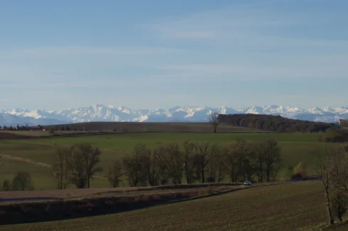 View of Pyrenees from Vegetable Garden