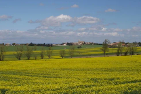 View of Fanjeaux from the Property