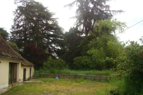 Le jardin possède des arbres matures.